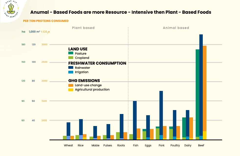 Environmental Impact-Sustainable Eating