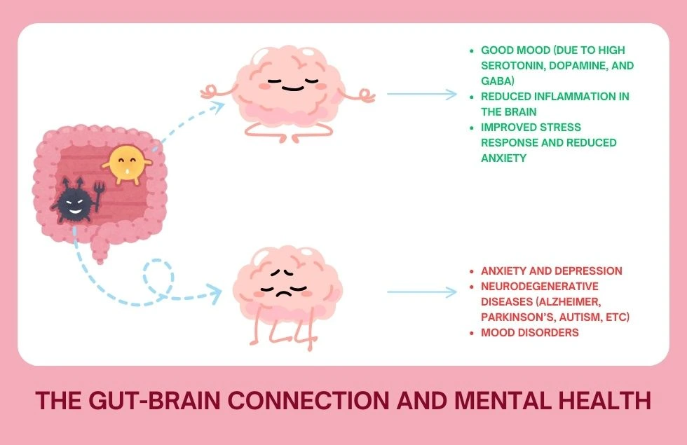 Gut-Brain Connection and Mental Health 